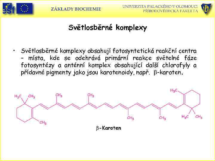 Světlosběrné komplexy • Světlosběrné komplexy obsahují fotosyntetická reakční centra – místa, kde se odehrává