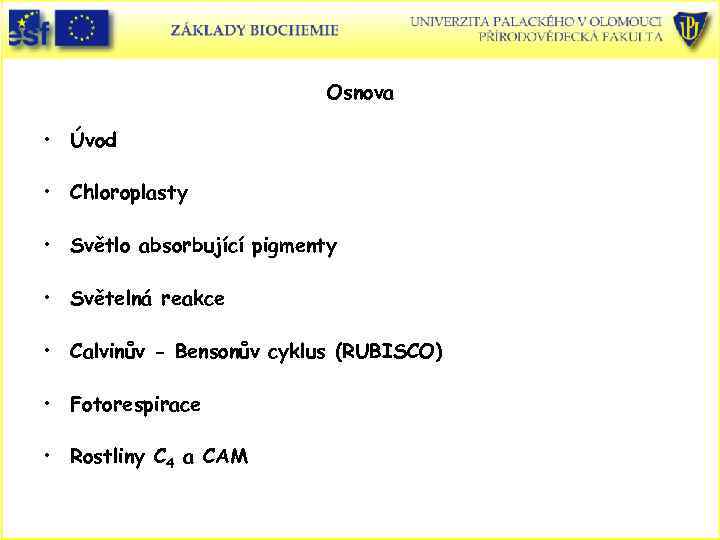 Osnova • Úvod • Chloroplasty • Světlo absorbující pigmenty • Světelná reakce • Calvinův