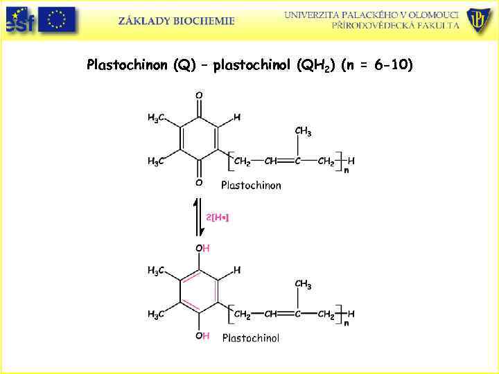 Plastochinon (Q) – plastochinol (QH 2) (n = 6 -10) 