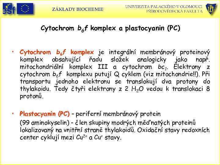 Cytochrom b 6 f komplex a plastocyanin (PC) • Cytochrom b 6 f komplex