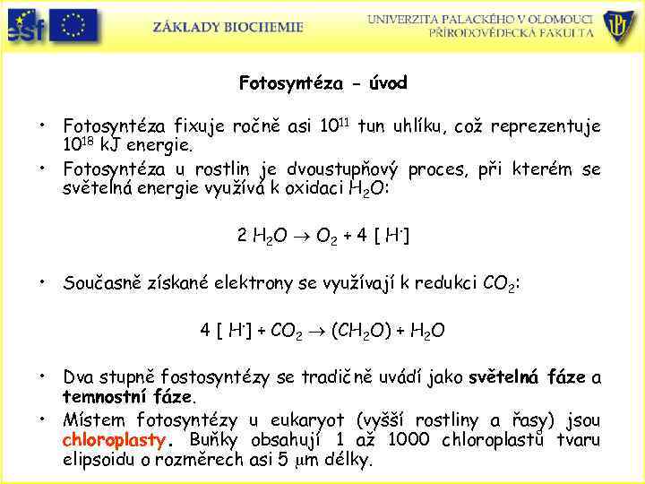 Fotosyntéza - úvod • Fotosyntéza fixuje ročně asi 1011 tun uhlíku, což reprezentuje 1018