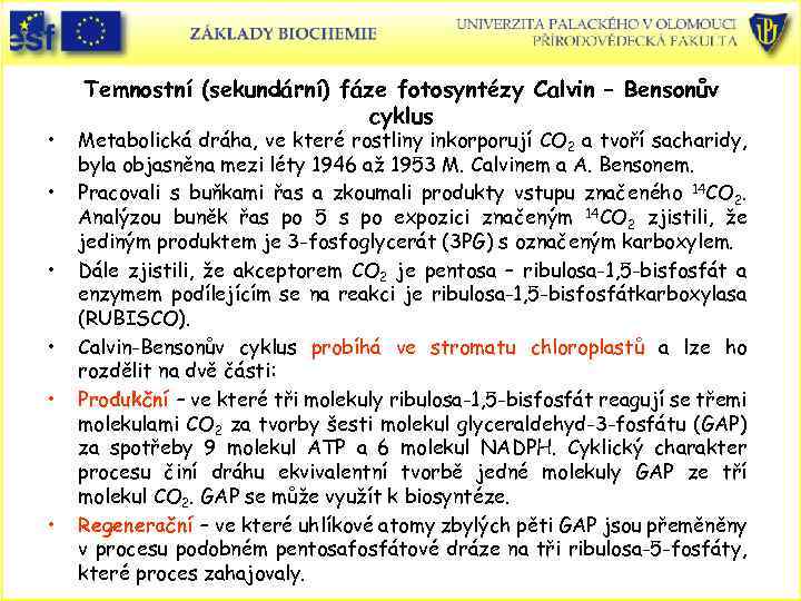  • • • Temnostní (sekundární) fáze fotosyntézy Calvin – Bensonův cyklus Metabolická dráha,