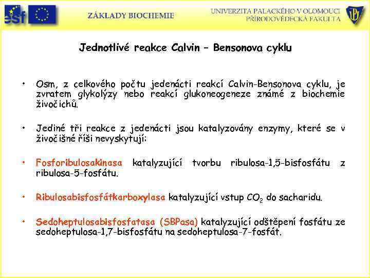 Jednotlivé reakce Calvin – Bensonova cyklu • Osm, z celkového počtu jedenácti reakcí Calvin-Bensonova