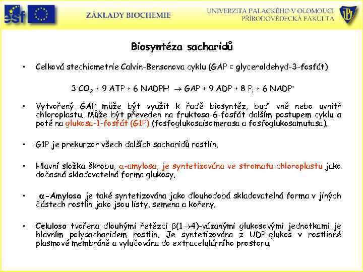 Biosyntéza sacharidů • Celková stechiometrie Calvin-Bensonova cyklu (GAP = glyceraldehyd-3 -fosfát) 3 CO 2