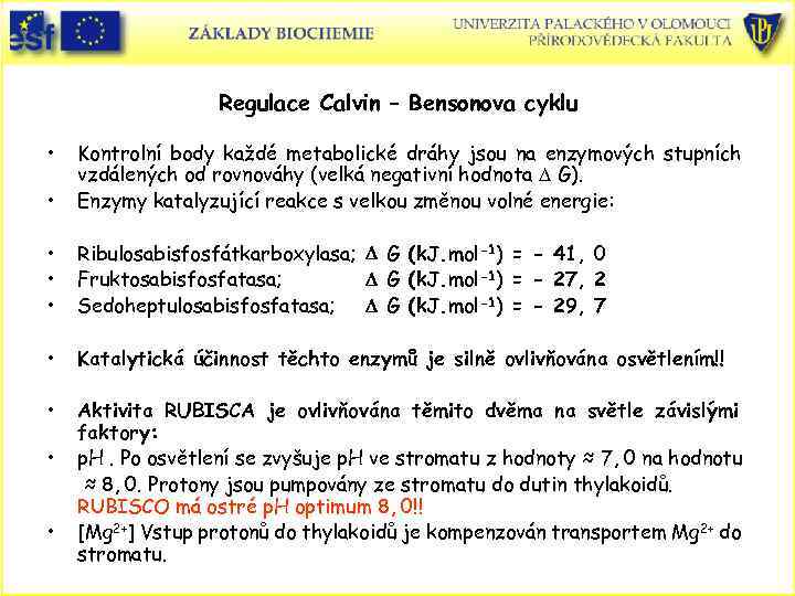 Regulace Calvin – Bensonova cyklu • • Kontrolní body každé metabolické dráhy jsou na