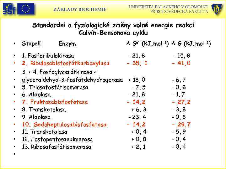 Standardní a fyziologické změny volné energie reakcí Calvin-Bensonova cyklu • Stupeň • • 1.