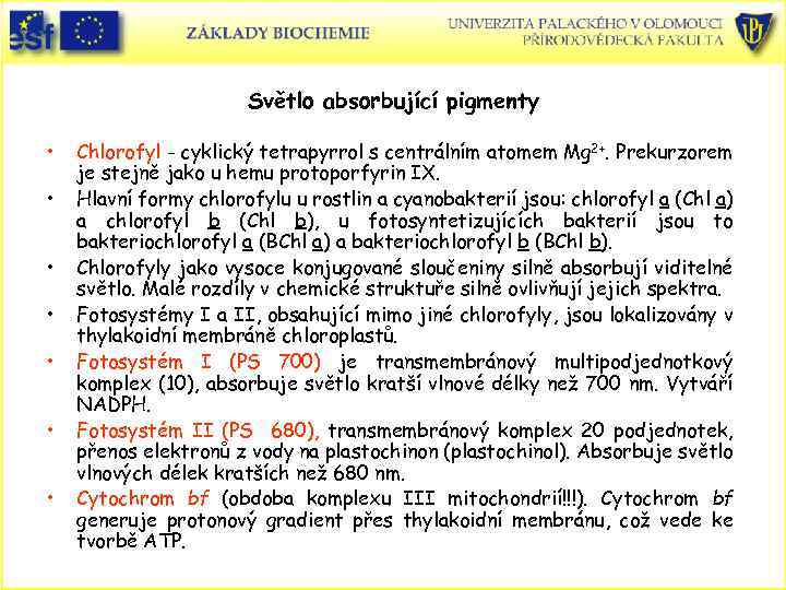 Světlo absorbující pigmenty • • Chlorofyl - cyklický tetrapyrrol s centrálním atomem Mg 2+.