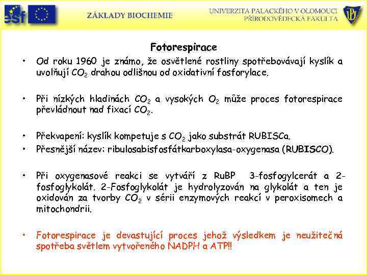 Fotorespirace • Od roku 1960 je známo, že osvětlené rostliny spotřebovávají kyslík a uvolňují