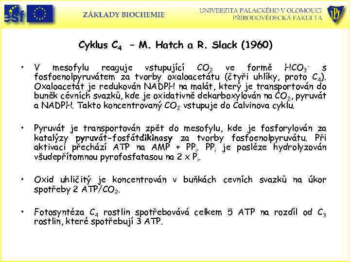 Cyklus C 4 – M. Hatch a R. Slack (1960) • V mesofylu reaguje