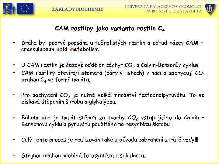 CAM rostliny jako varianta rostlin C 4 • Dráha byl poprvé popsána u tučnolistých