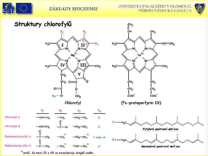 Struktury chlorofylů 