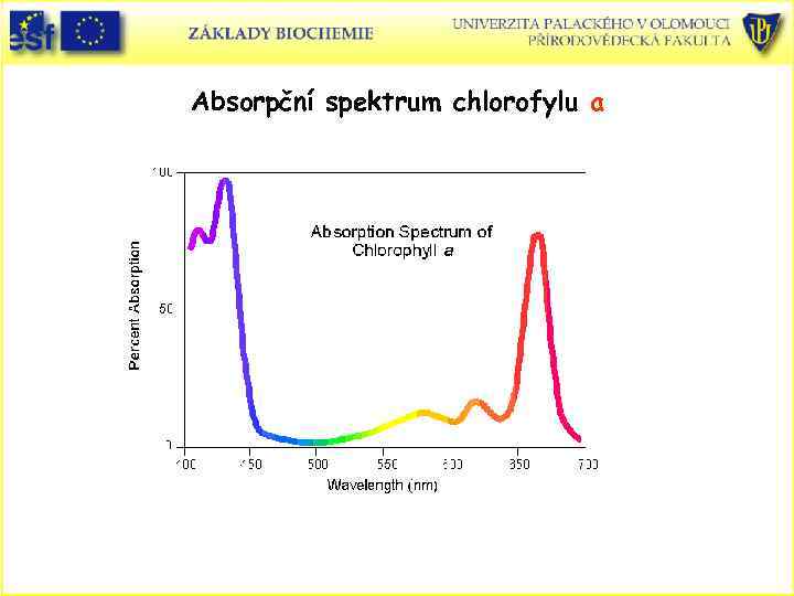 Absorpční spektrum chlorofylu a 