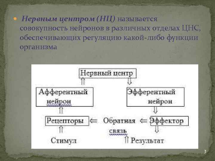  Нервным центром (НЦ) называется совокупность нейронов в различных отделах ЦНС, обеспечивающих регуляцию какой