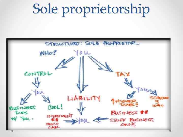 Sole proprietorship 