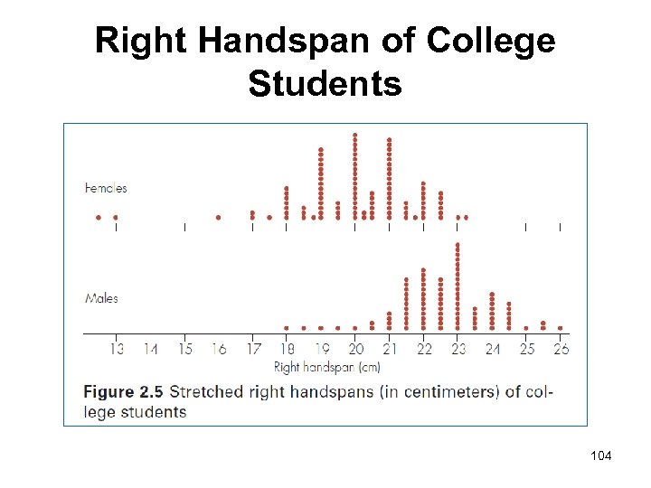 Right Handspan of College Students 104 