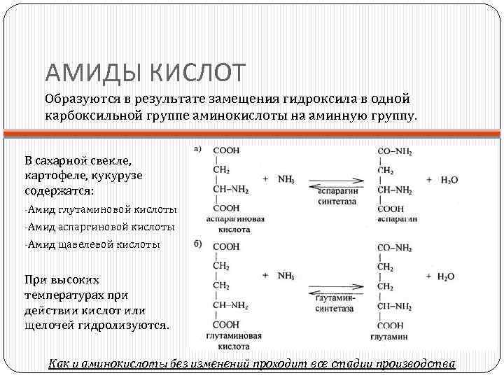 АМИДЫ КИСЛОТ Образуются в результате замещения гидроксила в одной карбоксильной группе аминокислоты на аминную