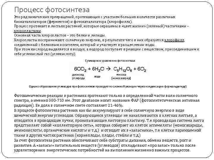 Процесс фотосинтеза Это ряд химических превращений, протекающих с участием больших количеств различных биокатализаторов (ферментов)