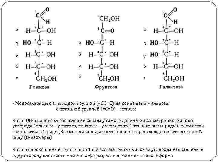 1 1 1 β 2 * 3 * α 3 * 4 α *