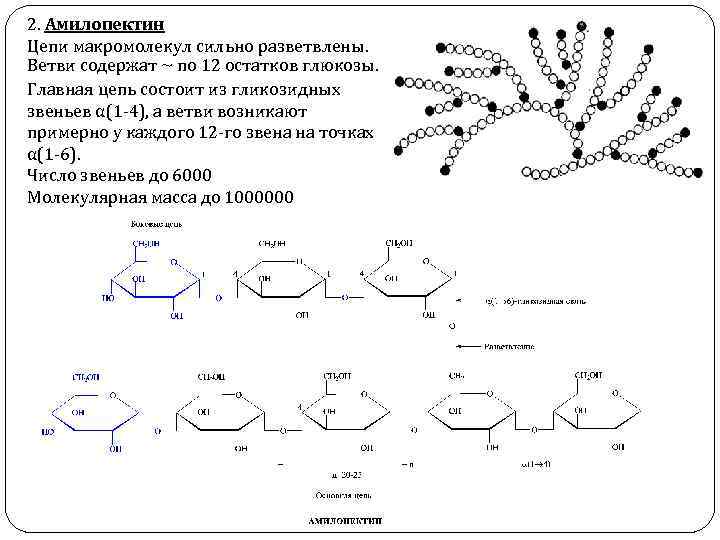Макромолекулы крахмала состоят из остатков. Амилопектин строение. Амилопектин состоит из остатков. Амилопектин состоит из глюкозных остатков. Неполный гидролиз амилопектина.