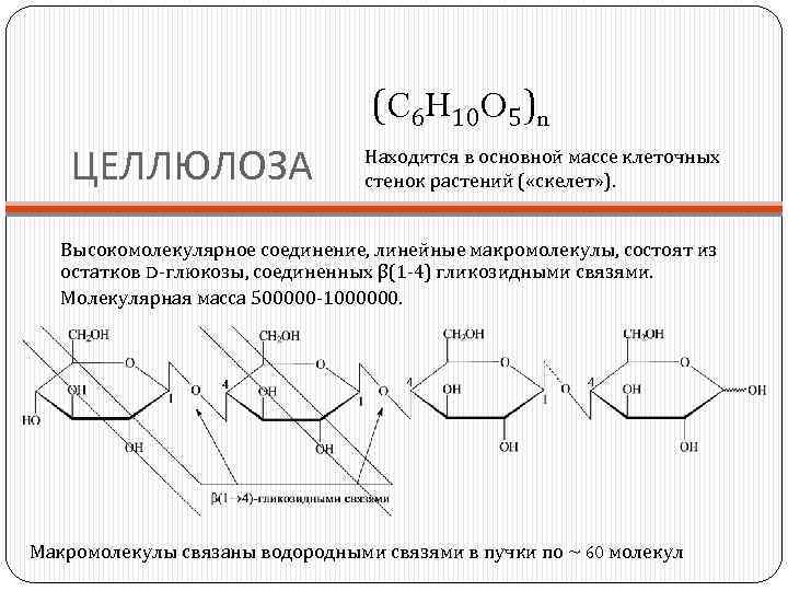 (C 6 H 10 O 5)n ЦЕЛЛЮЛОЗА Находится в основной массе клеточных стенок растений