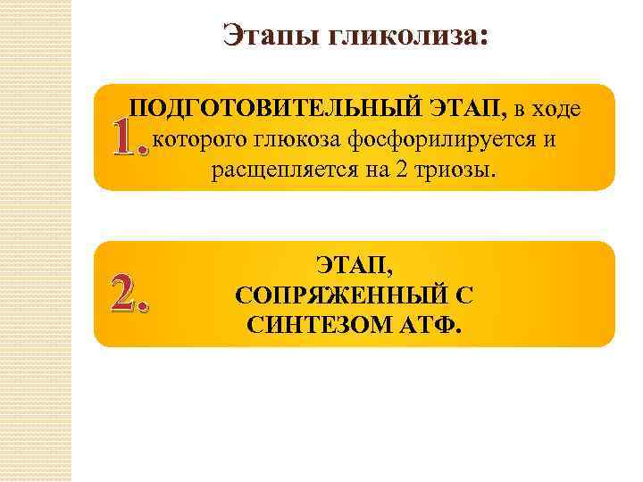 Этапы гликолиза: ПОДГОТОВИТЕЛЬНЫЙ ЭТАП, в ходе которого глюкоза фосфорилируется и расщепляется на 2 триозы.