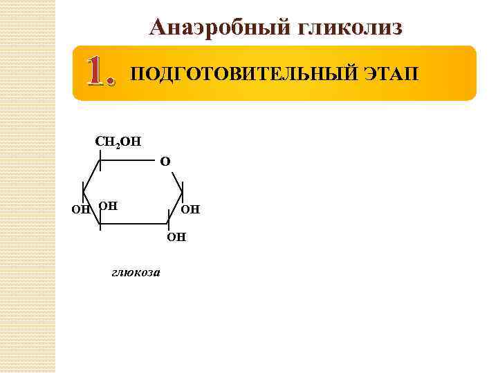 Анаэробный гликолиз 1. ПОДГОТОВИТЕЛЬНЫЙ ЭТАП СН 2 ОН ОН глюкоза 