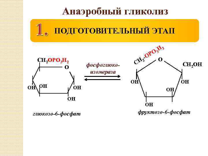 Анаэробный гликолиз 1. ПОДГОТОВИТЕЛЬНЫЙ ЭТАП СН 2 ОРО 3 Н 2 О ОН ОН