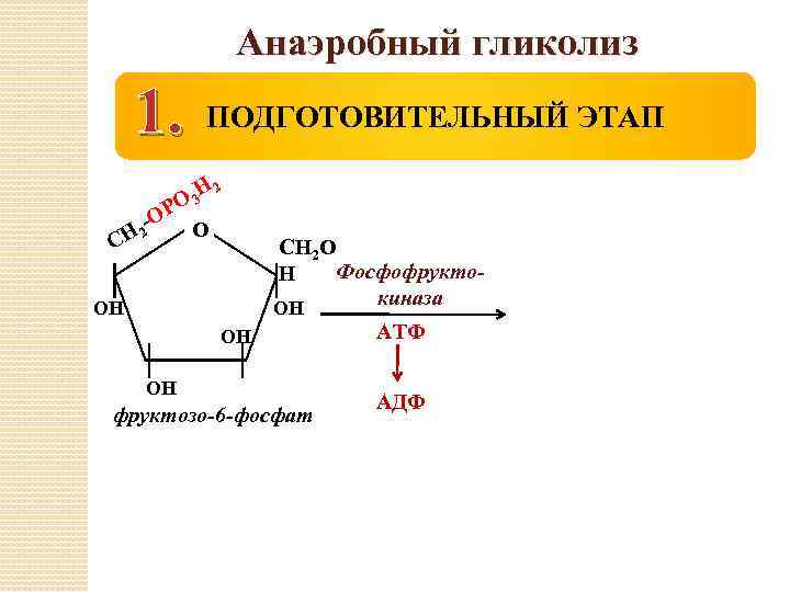 Анаэробный гликолиз 1. СН -О 2 ПОДГОТОВИТЕЛЬНЫЙ ЭТАП Н 2 Р О 3 О