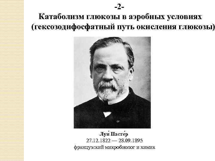 -2 Катаболизм глюкозы в аэробных условиях (гексозодифосфатный путь окисления глюкозы) Луи Пасте р 27.