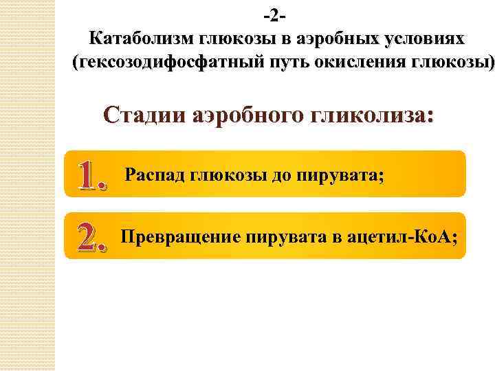 -2 Катаболизм глюкозы в аэробных условиях (гексозодифосфатный путь окисления глюкозы) Стадии аэробного гликолиза: 1.