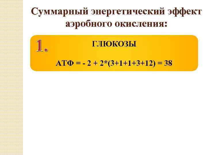 Суммарный энергетический эффект аэробного окисления: 1. ГЛЮКОЗЫ АТФ = - 2 + 2*(3+1+1+3+12) =