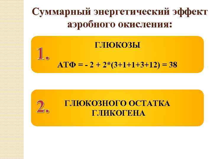 Суммарный энергетический эффект аэробного окисления: 1. 2. ГЛЮКОЗЫ АТФ = - 2 + 2*(3+1+1+3+12)