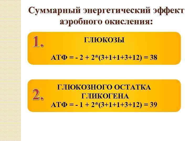 Суммарный энергетический эффект аэробного окисления: 1. ГЛЮКОЗЫ АТФ = - 2 + 2*(3+1+1+3+12) =