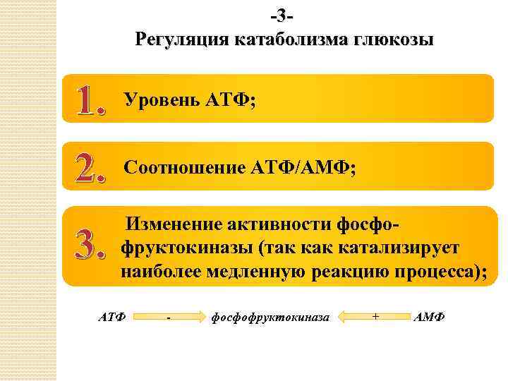 -3 Регуляция катаболизма глюкозы 1. Уровень АТФ; 2. Соотношение АТФ/АМФ; 3. Изменение активности фосфофруктокиназы