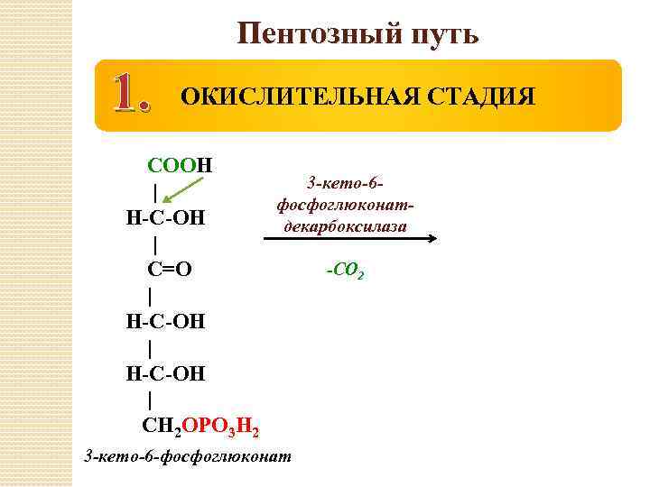 Пентозный путь 1. ОКИСЛИТЕЛЬНАЯ СТАДИЯ СООН 3 -кето-6| фосфоглюконат. Н-С-ОН декарбоксилаза | -СО 2
