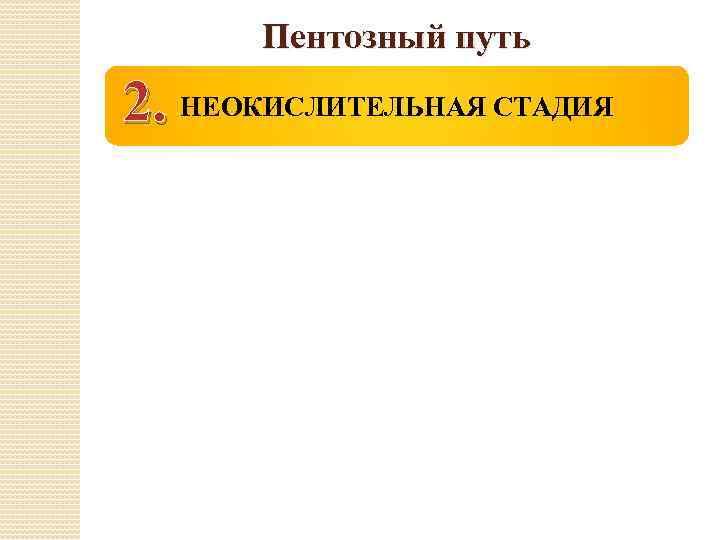Пентозный путь 2. НЕОКИСЛИТЕЛЬНАЯ СТАДИЯ 