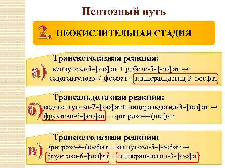 Пентозный путь 2. НЕОКИСЛИТЕЛЬНАЯ СТАДИЯ а) б) Транскетолазная реакция: ксилулозо-5 -фосфат + рибозо-5 -фосфат