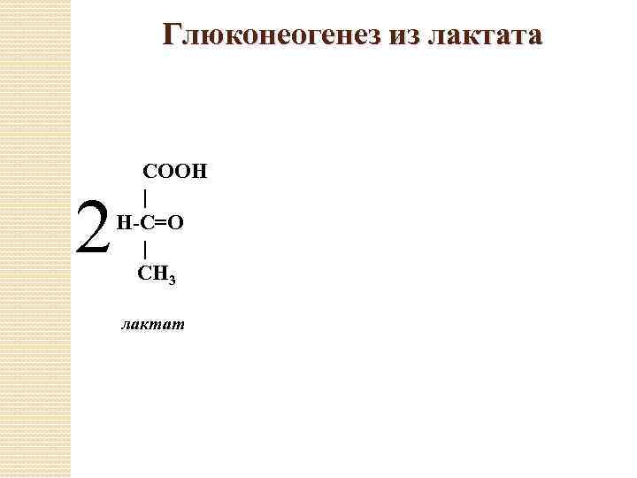 Глюконеогенез из лактата 2 СООН | Н-С=О | СН 3 лактат 