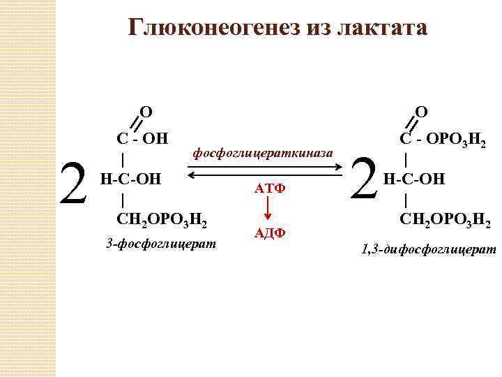 Схема образования лактата