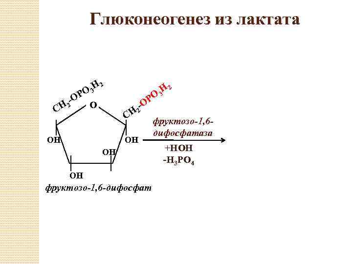 Глюконеогенез из лактата Н 2 О 3 Р -О О 2 СН СН ОН