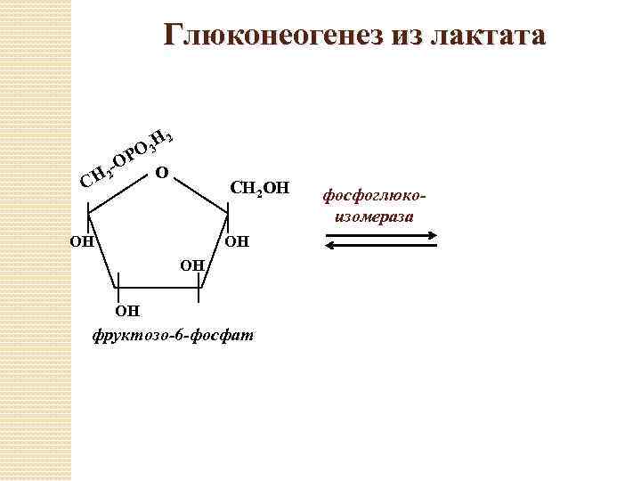 Глюконеогенез из лактата Н 2 О 3 Р -О О Н 2 С СН