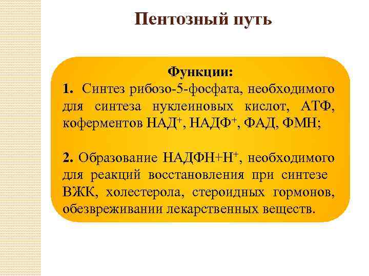 Путь функции. Синтез рибозо 5 фосфата. Рибозо 5 фосфат Синтез нуклеиновых кислот. Рибозо 5 фосфат необходим для синтеза. Пентозный цикл функции.