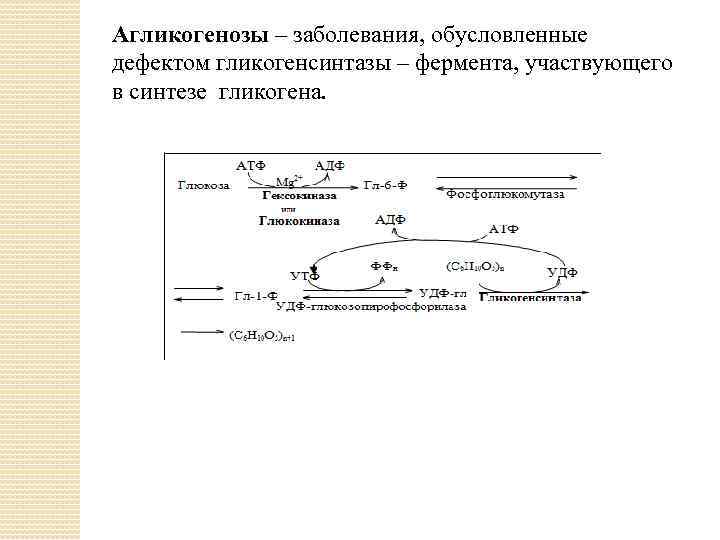 Агликогенозы – заболевания, обусловленные дефектом гликогенсинтазы – фермента, участвующего в синтезе гликогена. 