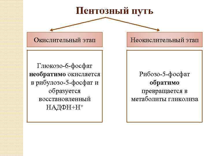 Пентозный путь Окислительный этап Неокислительный этап глюкоза Глюкозо-6 -фосфат необратимо окисляется в рибулозо-5 -фосфат