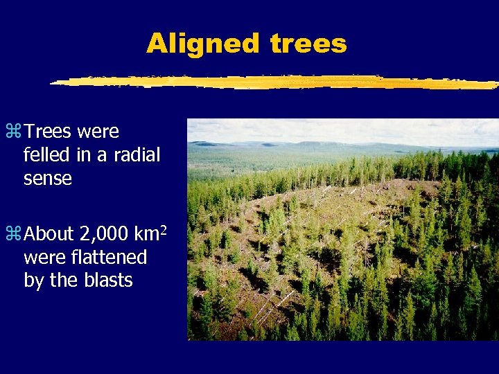 Aligned trees z Trees were felled in a radial sense z About 2, 000