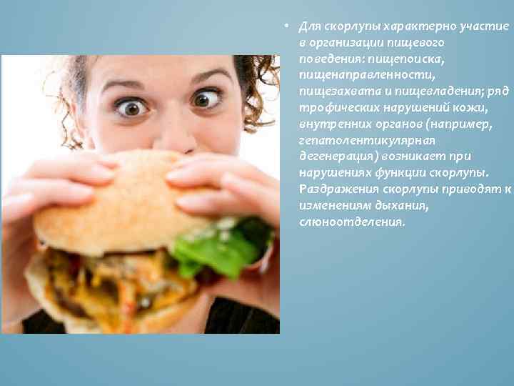  • Для скорлупы характерно участие в организации пищевого поведения: пищепоиска, пищенаправленности, пищезахвата и