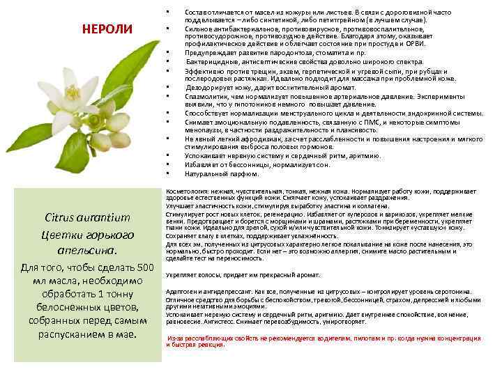  • НЕРОЛИ • • • Citrus aurantium Цветки горького апельсина. Для того, чтобы