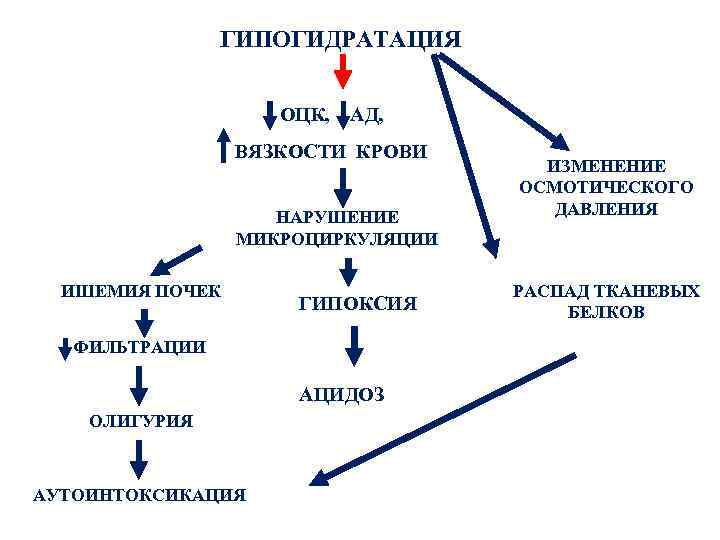 ГИПОГИДРАТАЦИЯ ОЦК, АД, ВЯЗКОСТИ КРОВИ НАРУШЕНИЕ МИКРОЦИРКУЛЯЦИИ ИШЕМИЯ ПОЧЕК ГИПОКСИЯ ФИЛЬТРАЦИИ АЦИДОЗ ОЛИГУРИЯ АУТОИНТОКСИКАЦИЯ