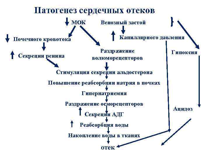 Патогенез сердечных отеков МОК Венозный застой Капиллярного давления Почечного кровотока Секреции ренина Раздражение волюморецепторов