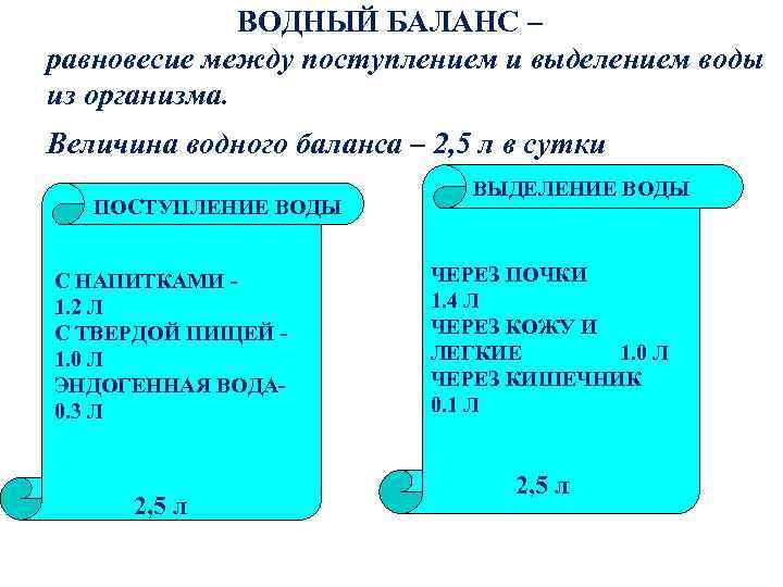 ВОДНЫЙ БАЛАНС – равновесие между поступлением и выделением воды из организма. Величина водного баланса